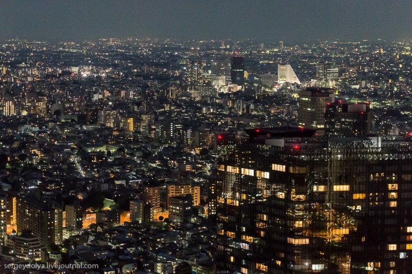 Disappointing Tokyo Disappointing Tokyo