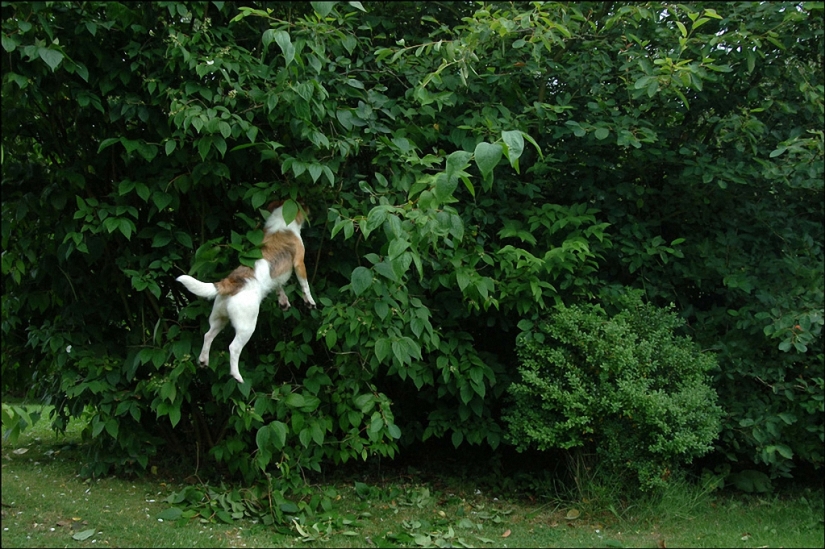 Divertida fotografía de la calle de Nils Jorgensen