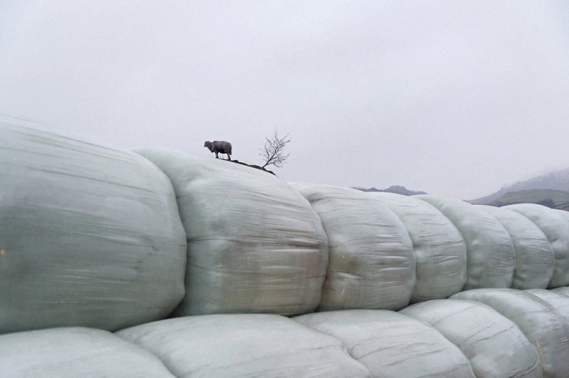 Divertida fotografía de la calle de Nils Jorgensen