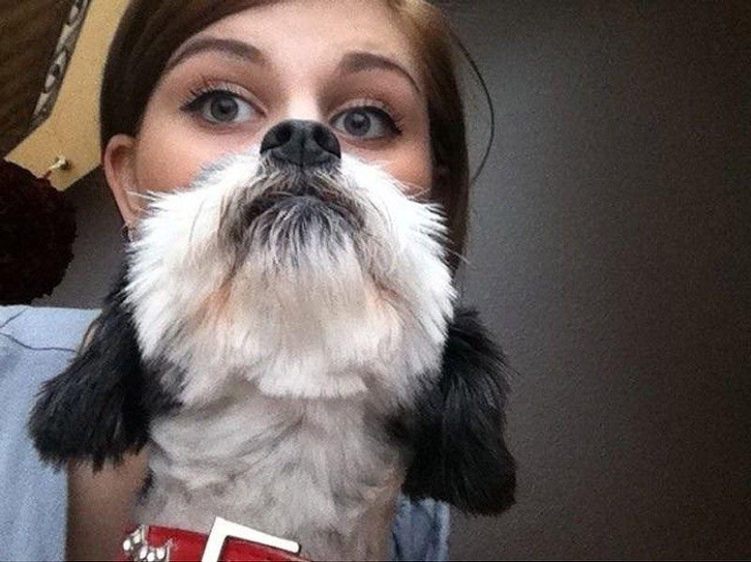 dog beards