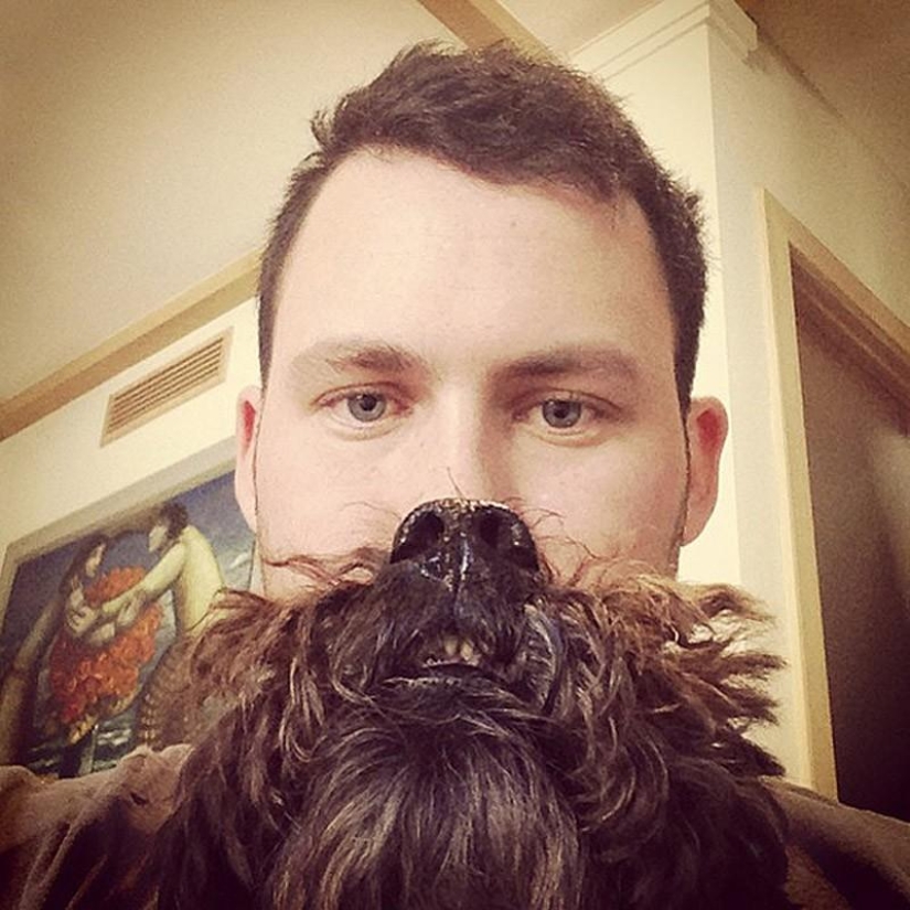 dog beards