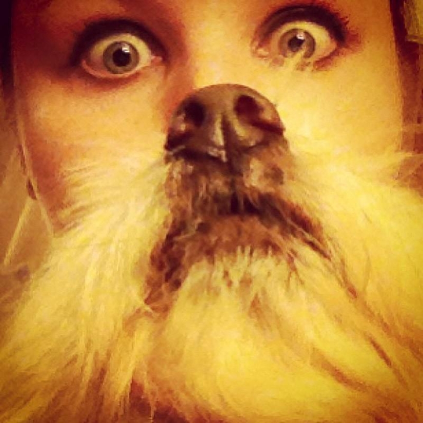 dog beards