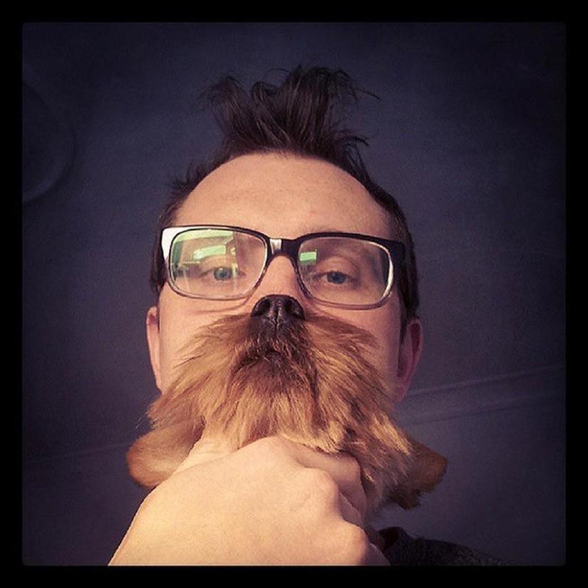 dog beards