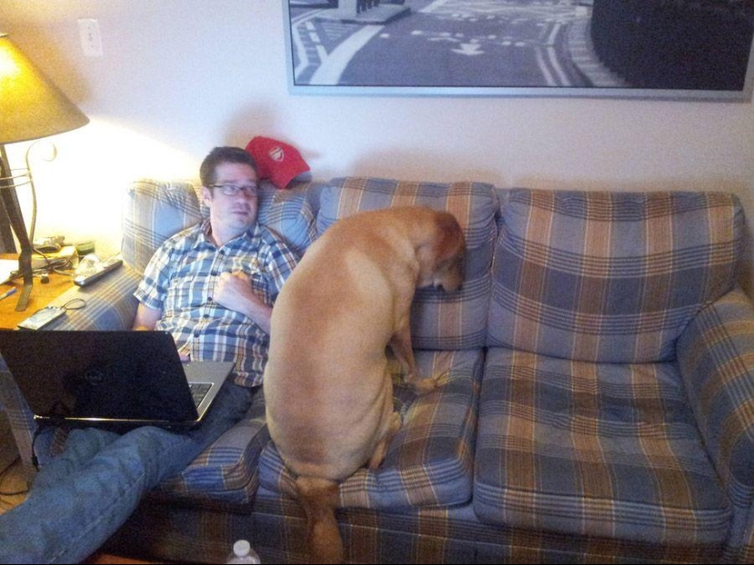 Dog, you've got it all mixed up...