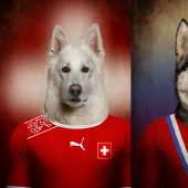 Dogs dressed in the uniforms of the national teams of the world