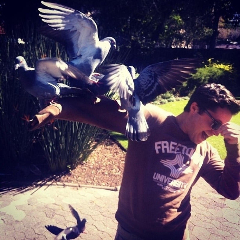 Don&#39;t feed the pigeons or you&#39;ll be sorry!