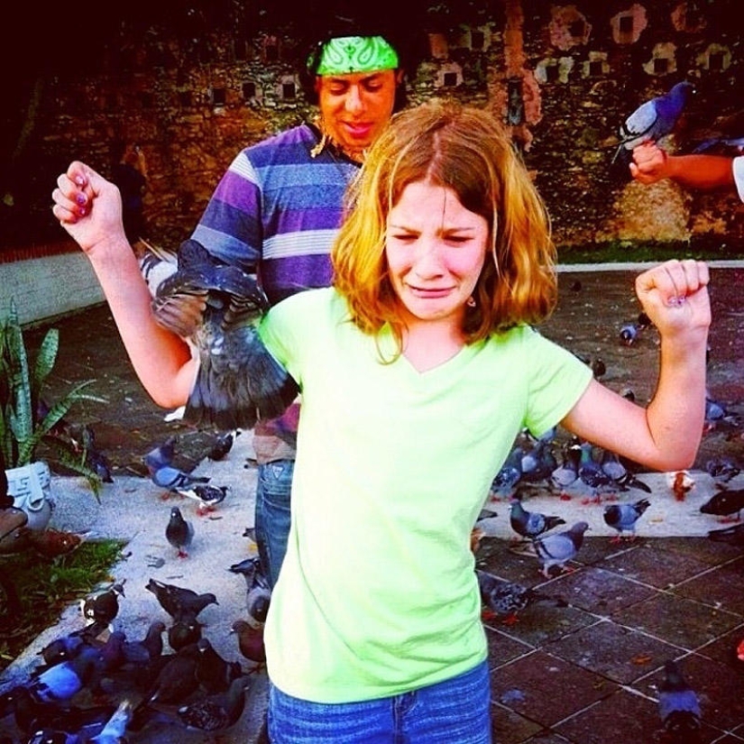 Don&#39;t feed the pigeons or you&#39;ll be sorry!