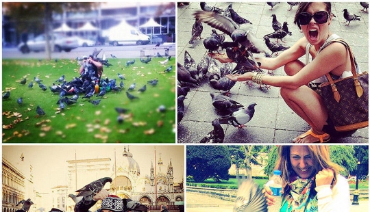 Don't feed the pigeons or you'll be sorry!