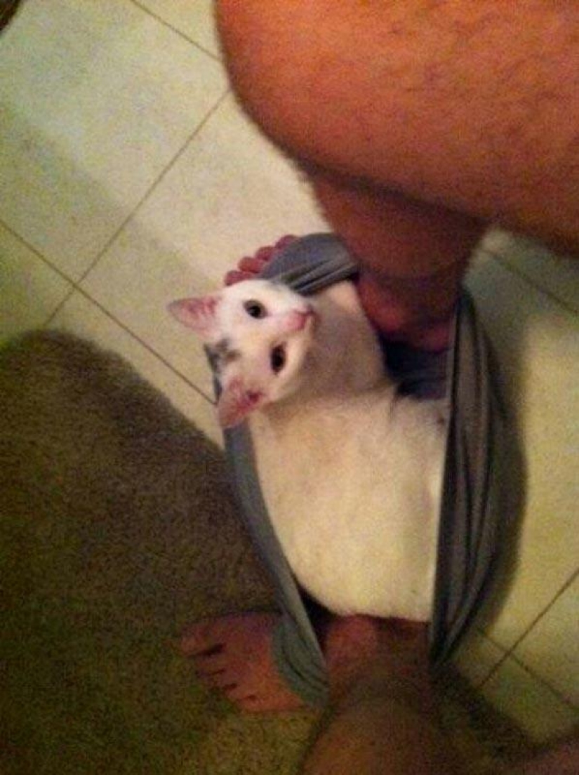 Don't part with your loved ones: pets in the toilet...