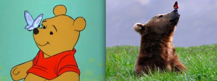 Donald Duck and 20 more Disney animals in real life