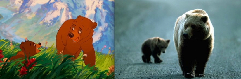 Donald Duck and 20 more Disney animals in real life