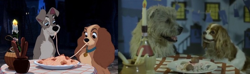 Donald Duck and 20 more Disney animals in real life