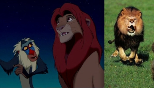 Donald Duck and 20 more Disney animals in real life