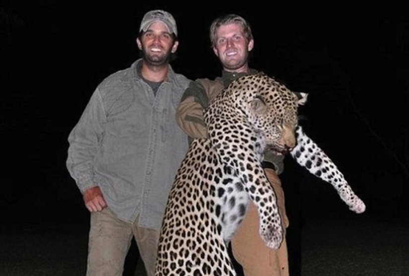Donald Trump's Sons love to kill animals Donald Trump's Sons love to kill animals