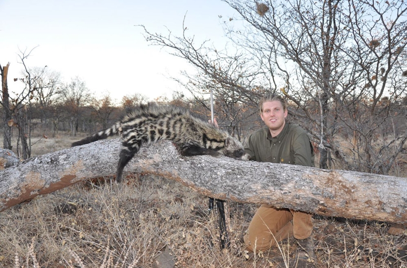 Donald Trump's Sons love to kill animals Donald Trump's Sons love to kill animals