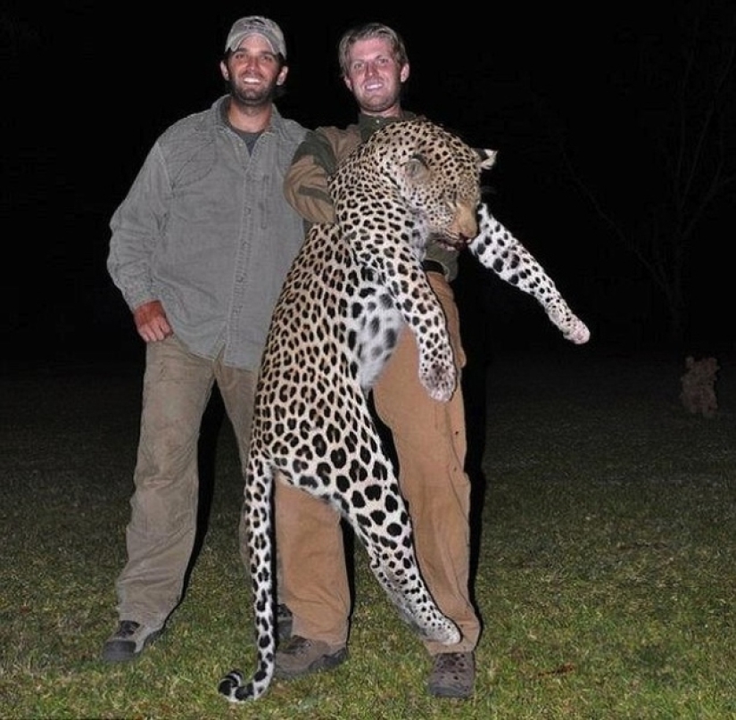 Donald Trump's Sons love to kill animals Donald Trump's Sons love to kill animals
