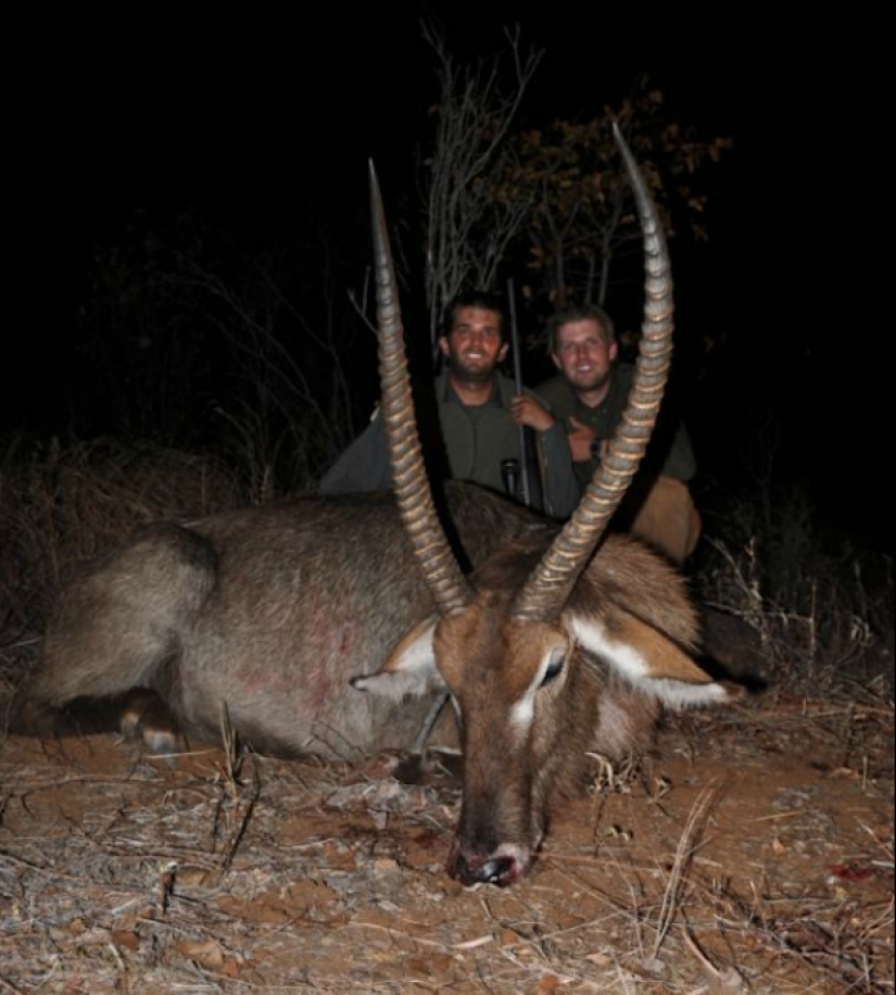 Donald Trump's Sons love to kill animals Donald Trump's Sons love to kill animals