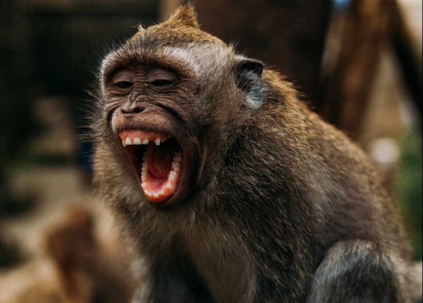 “Don’t Assume You Are The Average”: 15 People Discuss Things That Seem Safe But Actually Aren’t