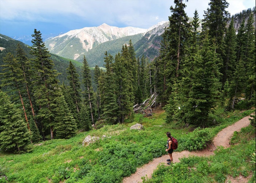 “Don’t Assume You Are The Average”: 15 People Discuss Things That Seem Safe But Actually Aren’t