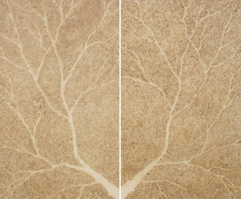 Dot art: artist burns paper with incense sticks to create incredible paintings Dot art: artist burns paper with incense sticks to create incredible paintings