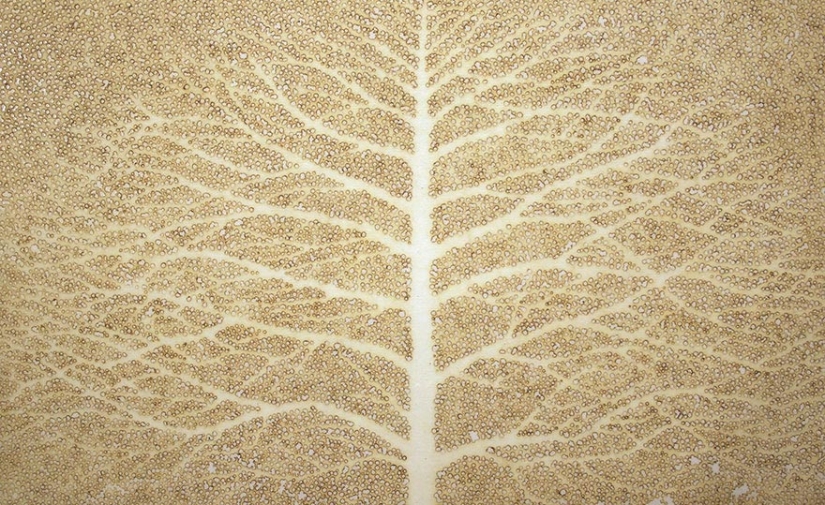 Dot art: artist burns paper with incense sticks to create incredible paintings Dot art: artist burns paper with incense sticks to create incredible paintings