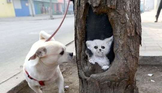 Drawings on the trees cheer up the townspeople Drawings on the trees cheer up the townspeople