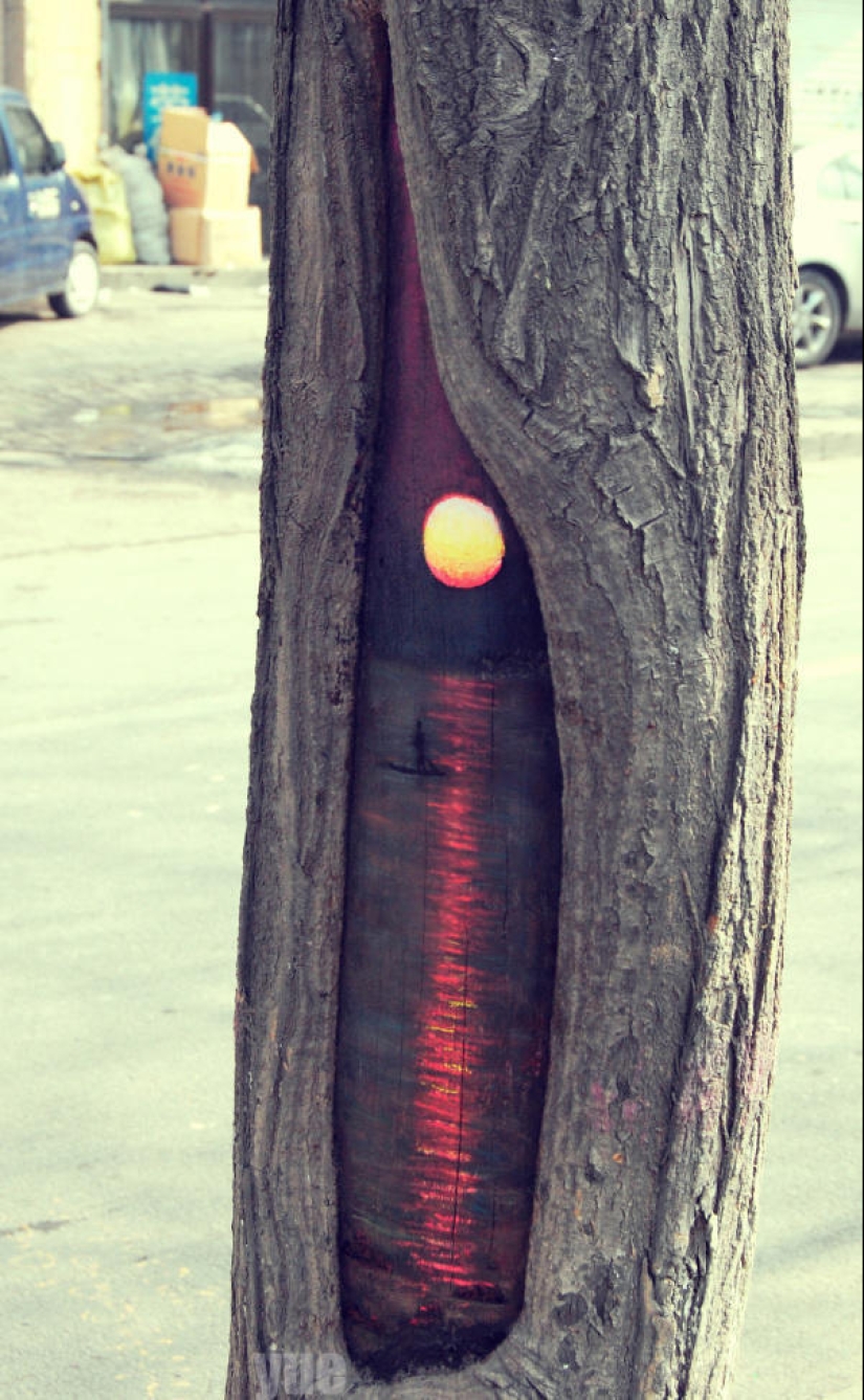 Drawings on the trees cheer up the townspeople Drawings on the trees cheer up the townspeople