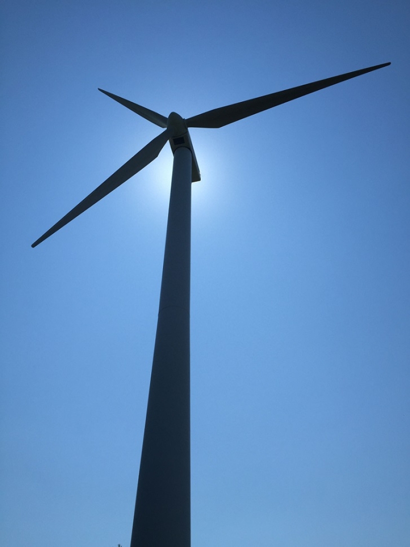 Drone caught sunbathing on a windmill Drone caught sunbathing on a windmill