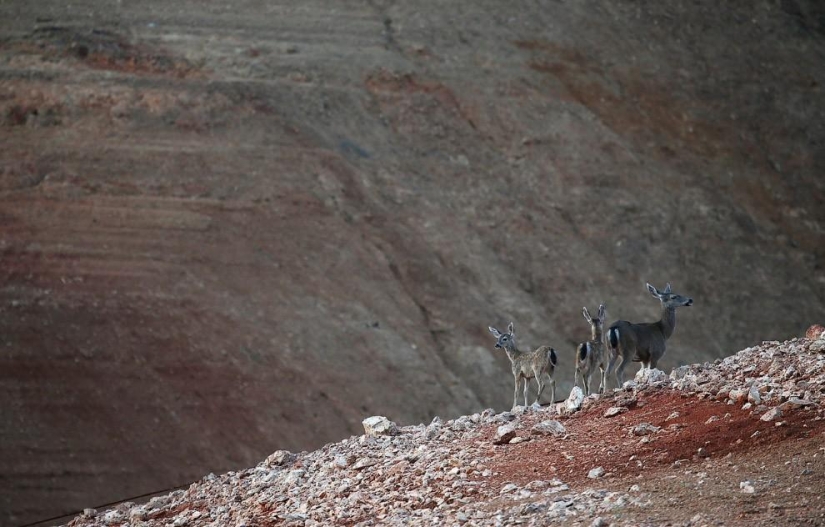 Drought in California Drought in California