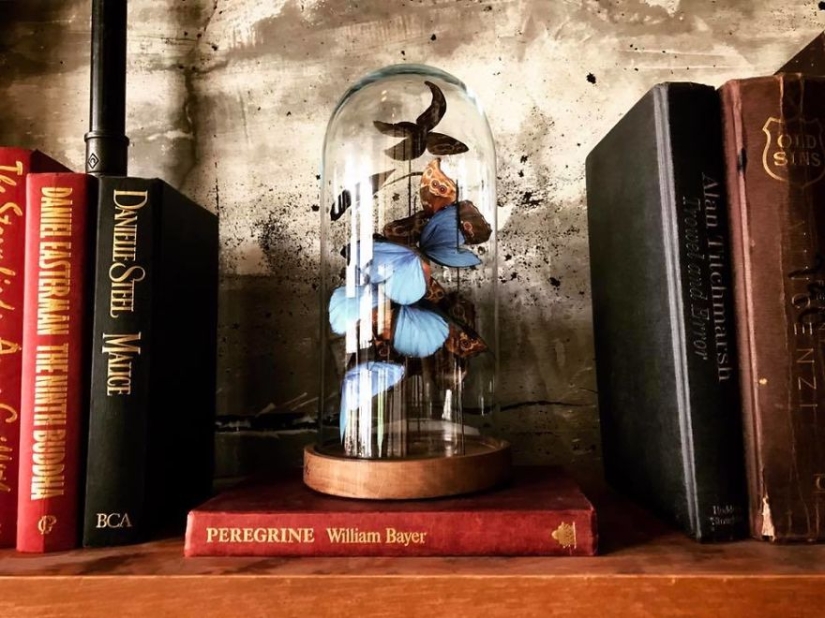 Duelo de papel: una niña talló más de 800 mariposas de papel en memoria de su difunta abuela