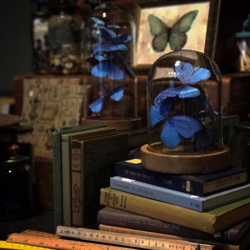 Duelo de papel: una niña talló más de 800 mariposas de papel en memoria de su difunta abuela