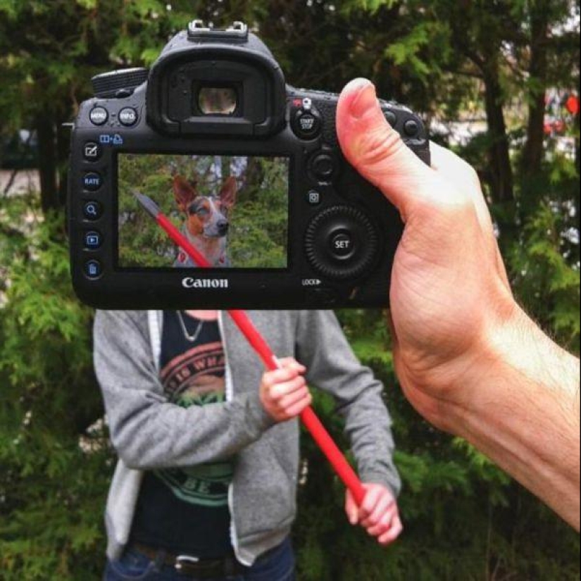 Dueños de mascotas y sus mascotas en un peculiar proyecto fotográfico #petheadz