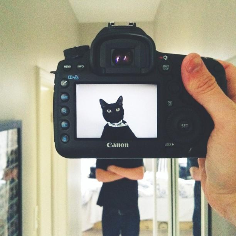 Dueños de mascotas y sus mascotas en un peculiar proyecto fotográfico #petheadz