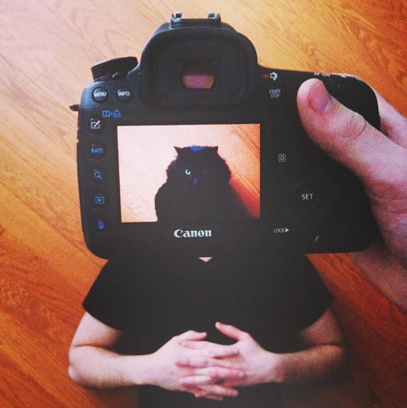 Dueños de mascotas y sus mascotas en un peculiar proyecto fotográfico #petheadz