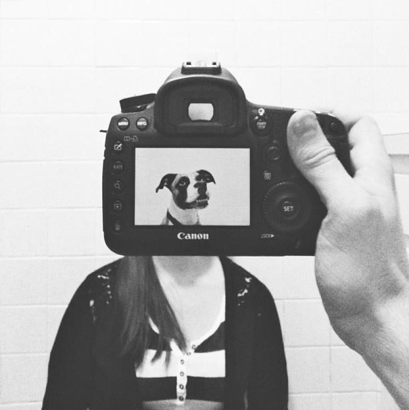 Dueños de mascotas y sus mascotas en un peculiar proyecto fotográfico #petheadz