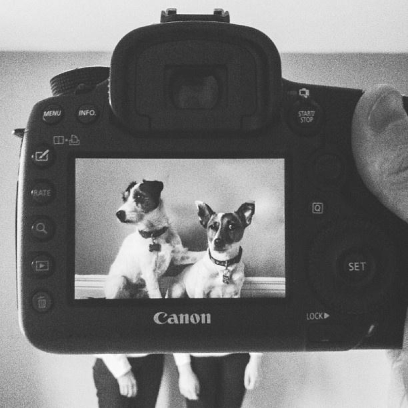 Dueños de mascotas y sus mascotas en un peculiar proyecto fotográfico #petheadz