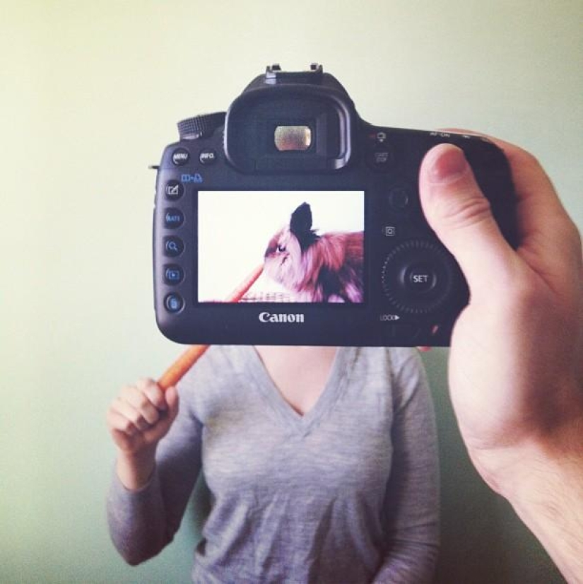 Dueños de mascotas y sus mascotas en un peculiar proyecto fotográfico #petheadz