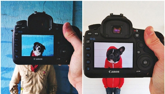 Dueños de mascotas y sus mascotas en un peculiar proyecto fotográfico #petheadz