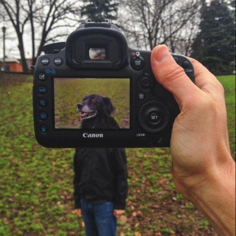 Dueños de mascotas y sus mascotas en un peculiar proyecto fotográfico #petheadz