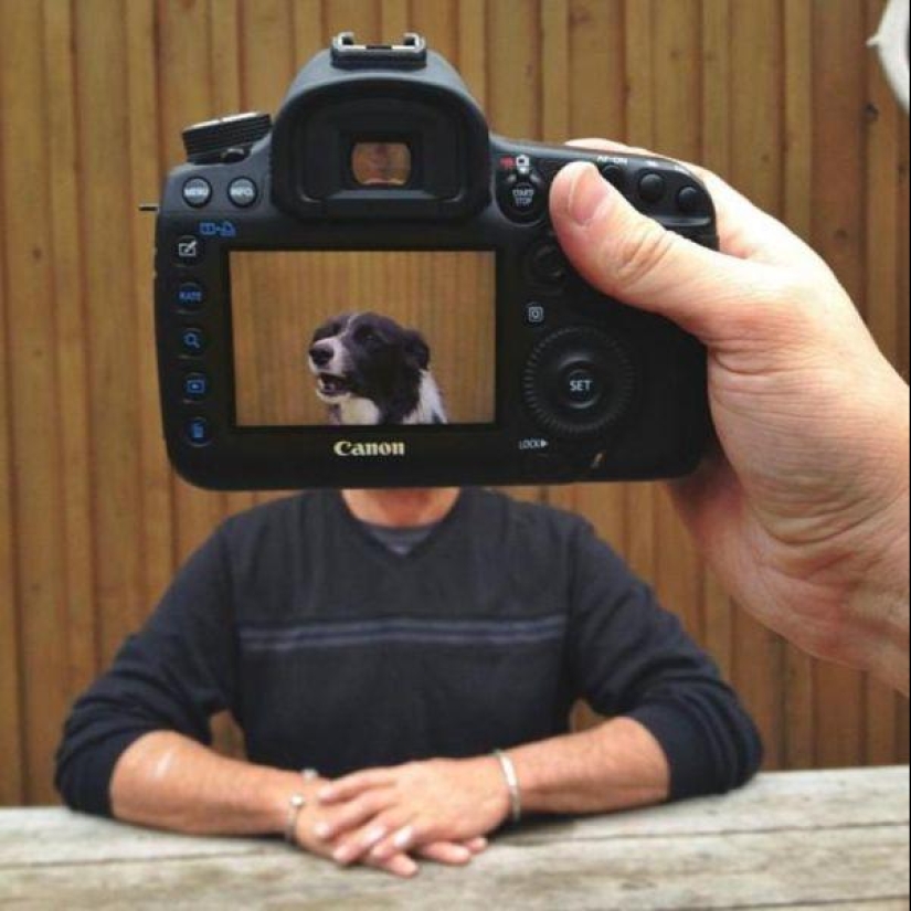 Dueños de mascotas y sus mascotas en un peculiar proyecto fotográfico #petheadz