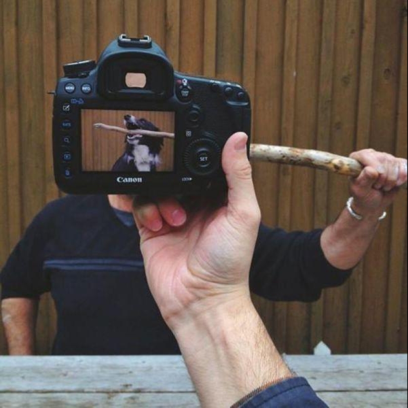 Dueños de mascotas y sus mascotas en un peculiar proyecto fotográfico #petheadz