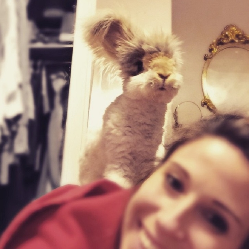 Ears that will surprise you