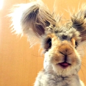 Ears that will surprise you