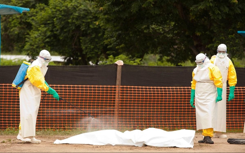 Ebola virus: the world is in a fever