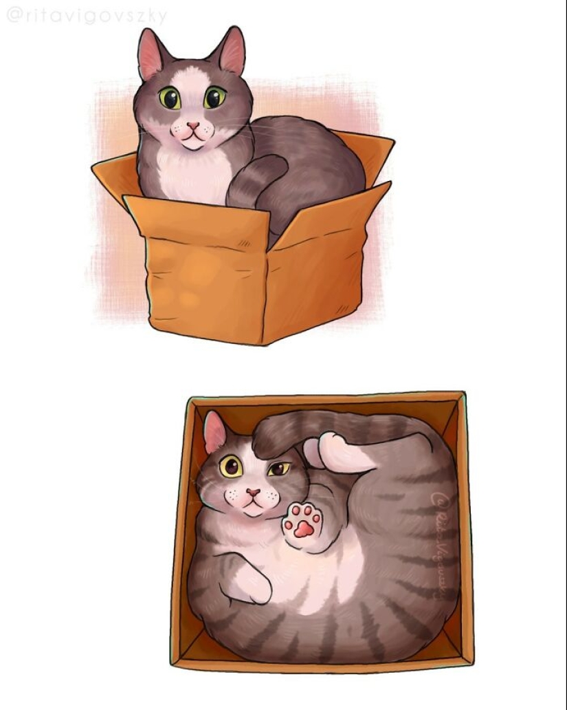 El artista crea ilustraciones conmovedoras sobre las alegrías de tener gatos.