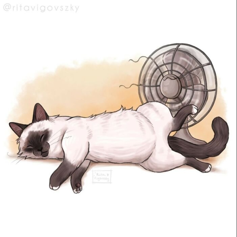 El artista crea ilustraciones conmovedoras sobre las alegrías de tener gatos.