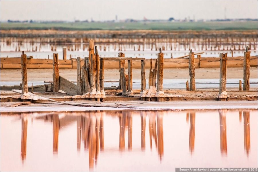 El desierto más hermoso del mundo.