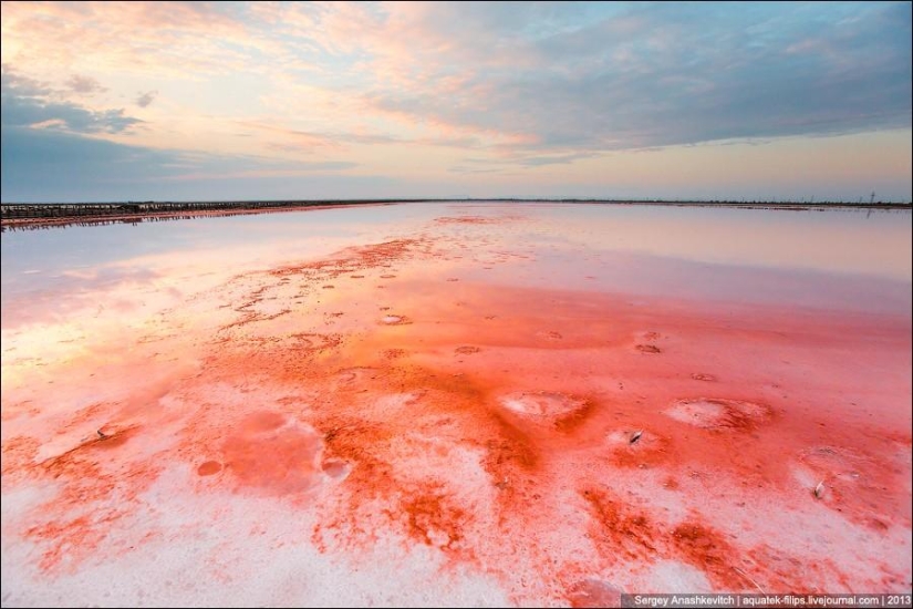 El desierto más hermoso del mundo.