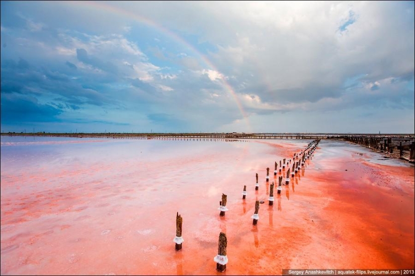 El desierto más hermoso del mundo.