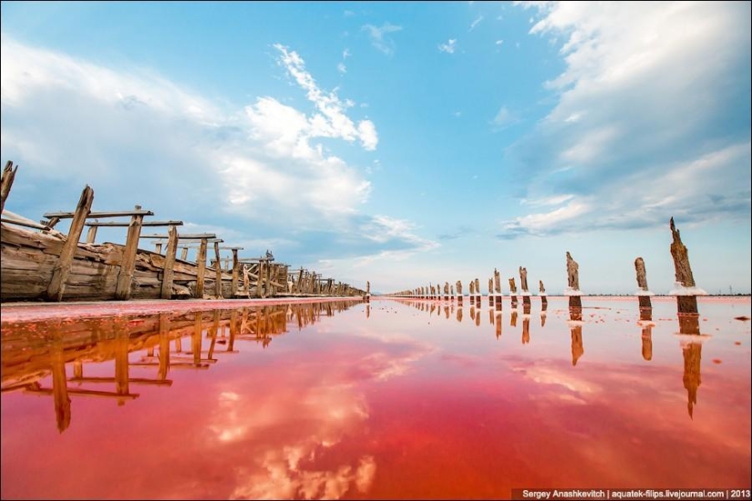 El desierto más hermoso del mundo.